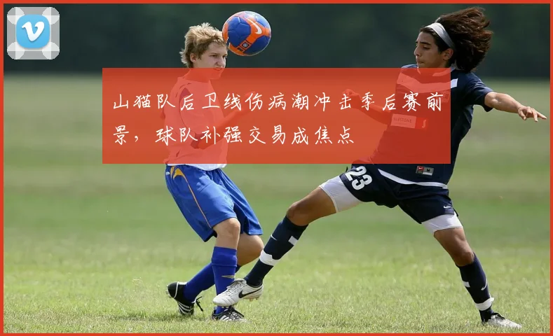山猫队后卫线伤病潮冲击季后赛前景，球队补强交易成焦点